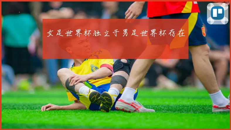 女足世界杯独立于男足世界杯存在