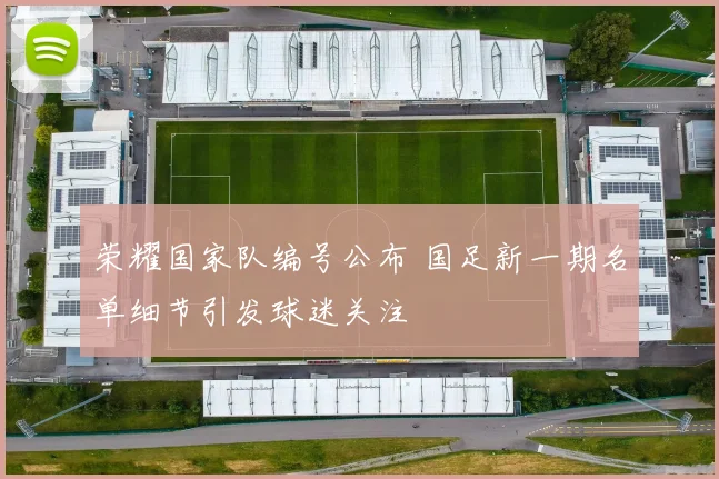 荣耀国家队编号公布 国足新一期名单细节引发球迷关注