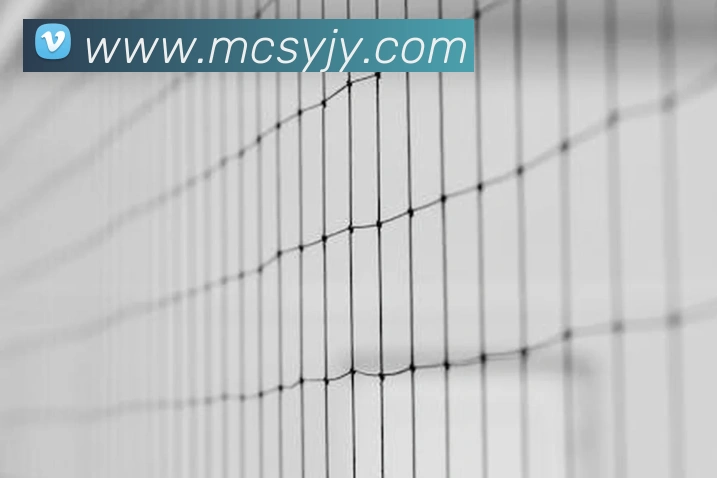 多媒体互动体验